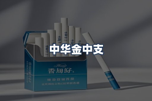 中华金中支